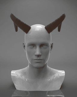 Mouflon Horns 3d model