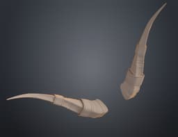 Antelope modified horns 3d model