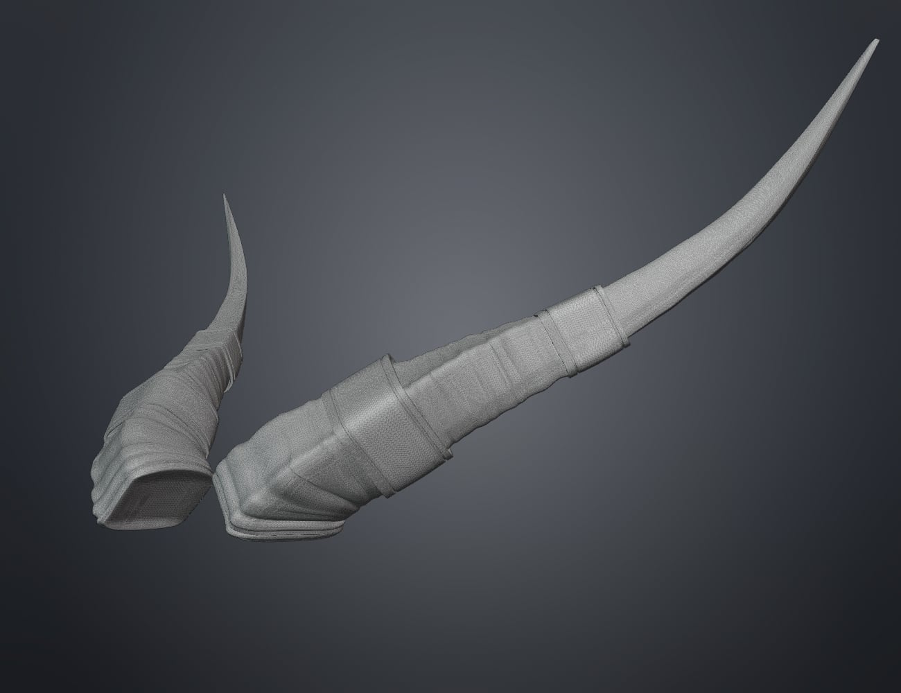 Antelope modified horns 3d model