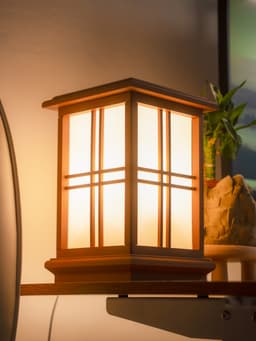 Shoji Lamp 2 3d model