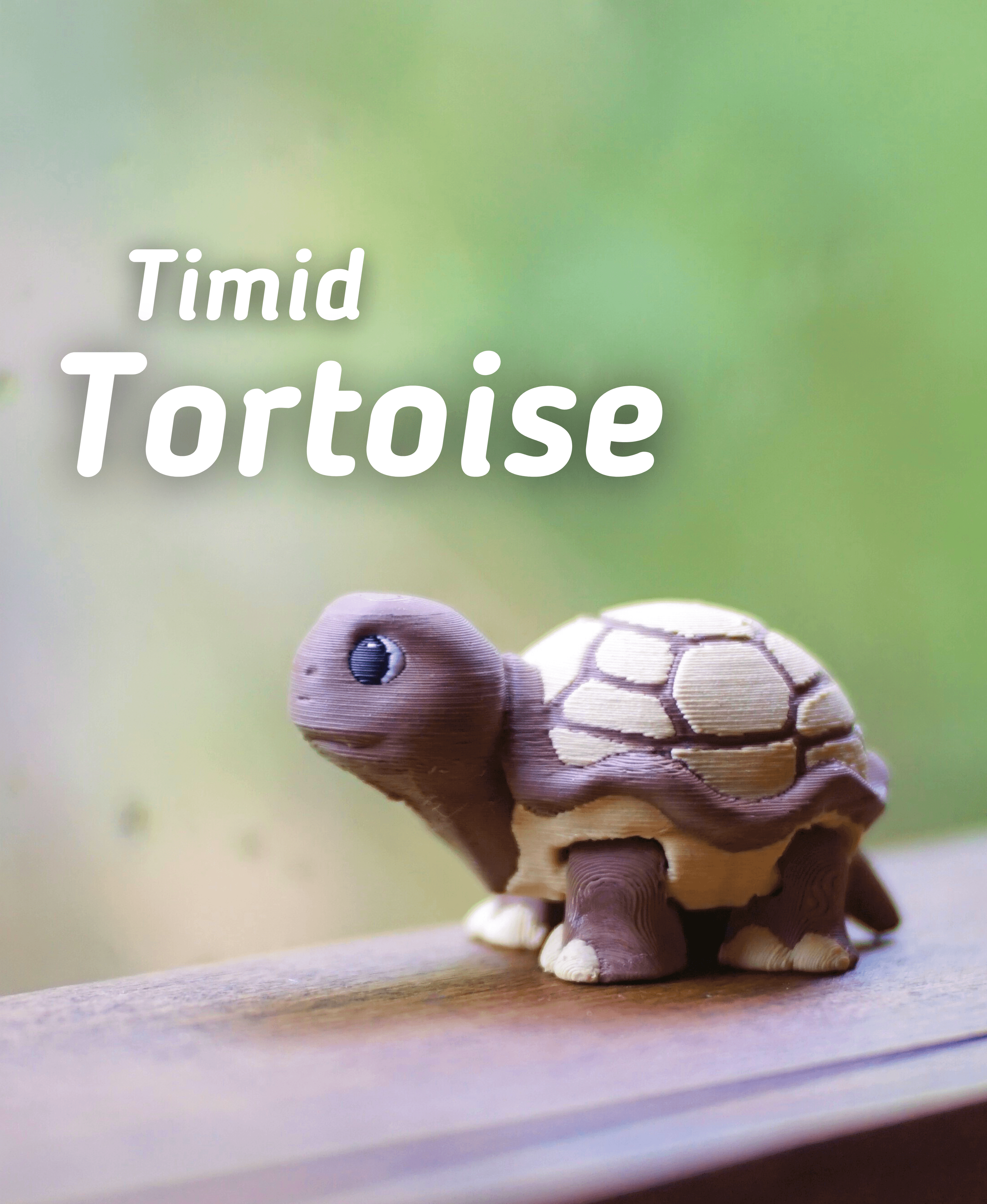 Timid Tortoise - Articulated Fidget Tortoise - Ludo Animal 3d model