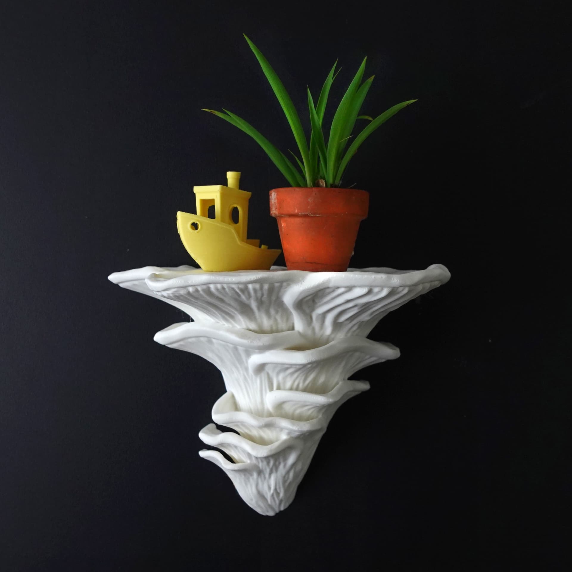 Mushroom shelf “Pleurotus Djamor” 3d model