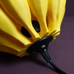 Banana lamp 3d model