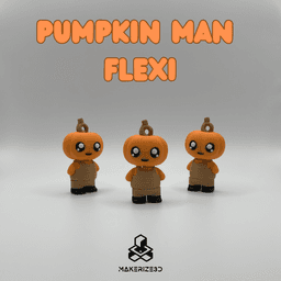 Pumpkin Man Flexi 3d model
