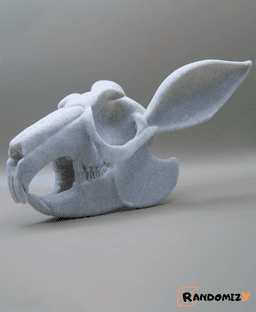 Rabbit Skull 3d model