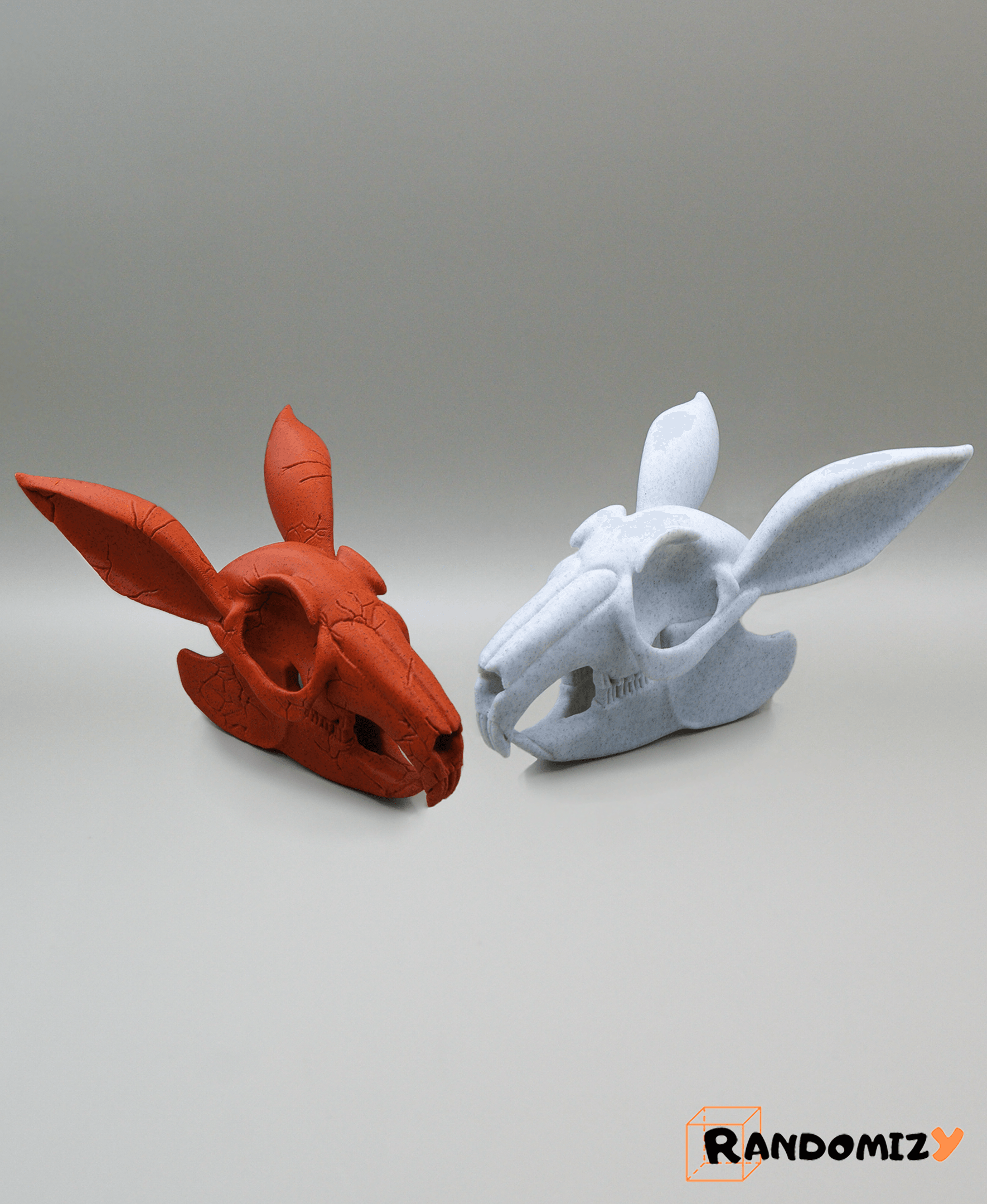 Rabbit Skull 3d model