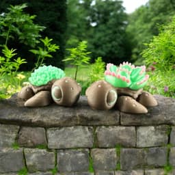 Succulent Baby Turtles - Community Choice 3d model
