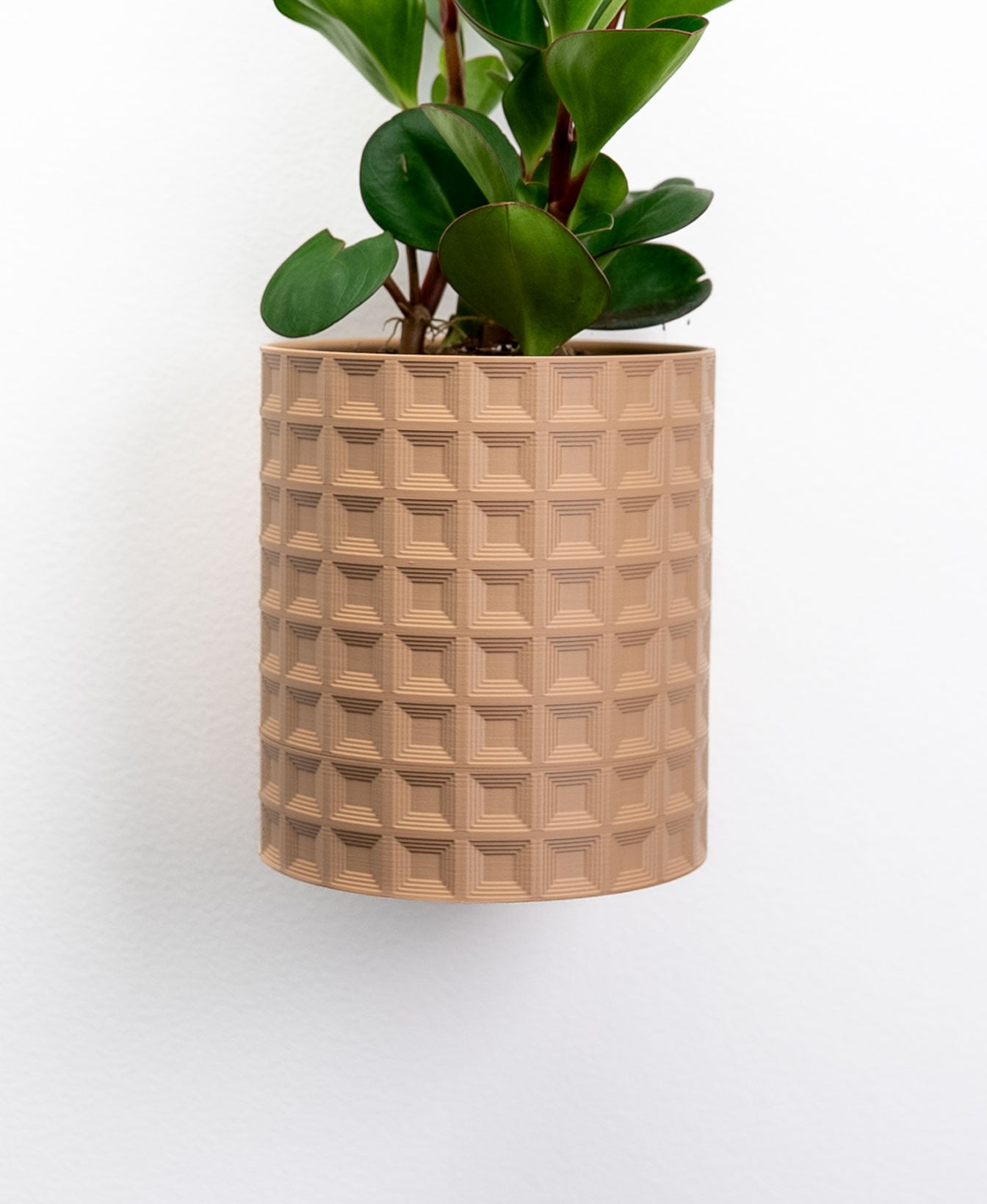 Echo Planter 3d model