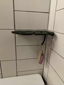 Monstera shower shelf 3d model