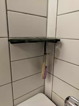 Monstera shower shelf 3d model