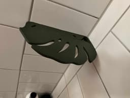 Monstera shower shelf 3d model