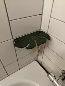 Monstera shower shelf 3d model