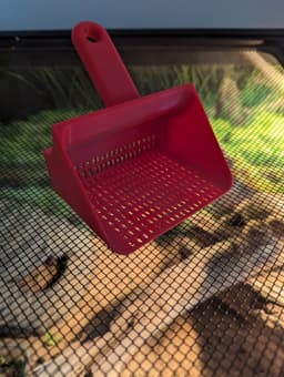 Lizard and Reptile Sand Scoop 3d model