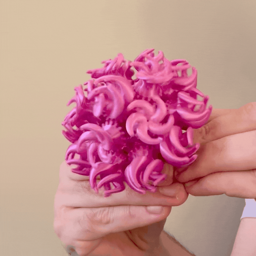Polyp Floramorph 3d model