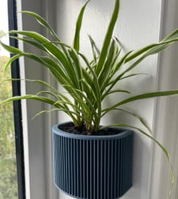 Wall Planter - No nails/screws 3d model