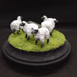 Sheep.stl 3d model