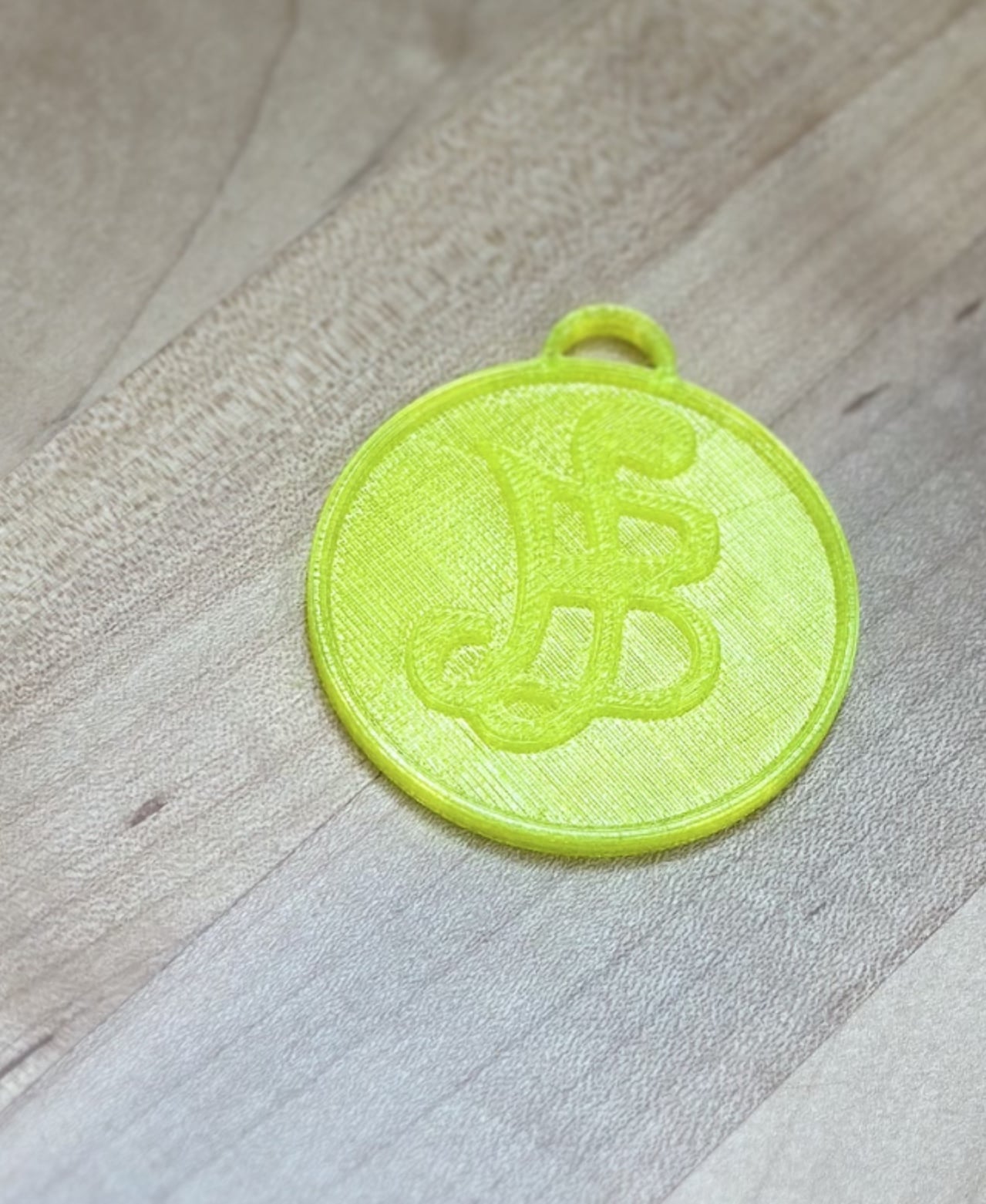 Berry Coin Necklace 3d model