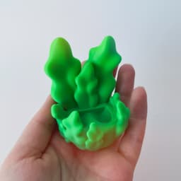 Axolotl Pixie 3d model
