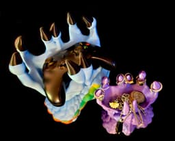 Dragon Claw part1 *Commercial Version* 3d model