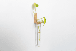 Test Tube Propagation Mount 3d model