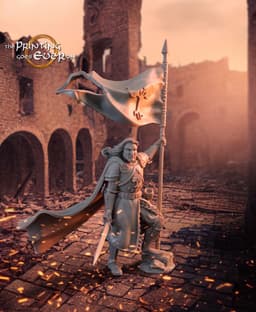 Barazan - Banner 3d model
