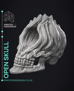 Open Skull - Sculpture 3d model