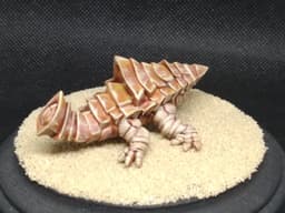 Desert Shark Miniature 3d model