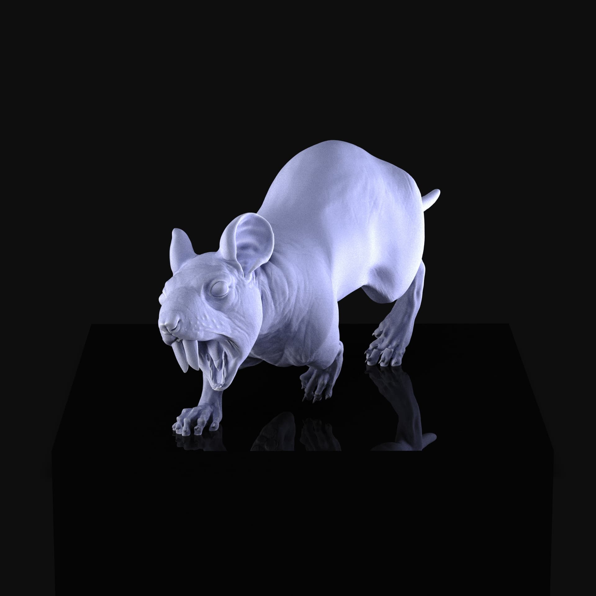 Rat 3d model
