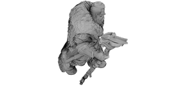 Frostbeard the Wander 3d model