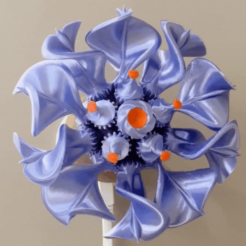 May Floramorph 3d model