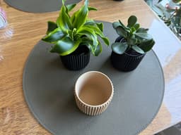 0LBJ_Ribplanter_8cm.stl 3d model