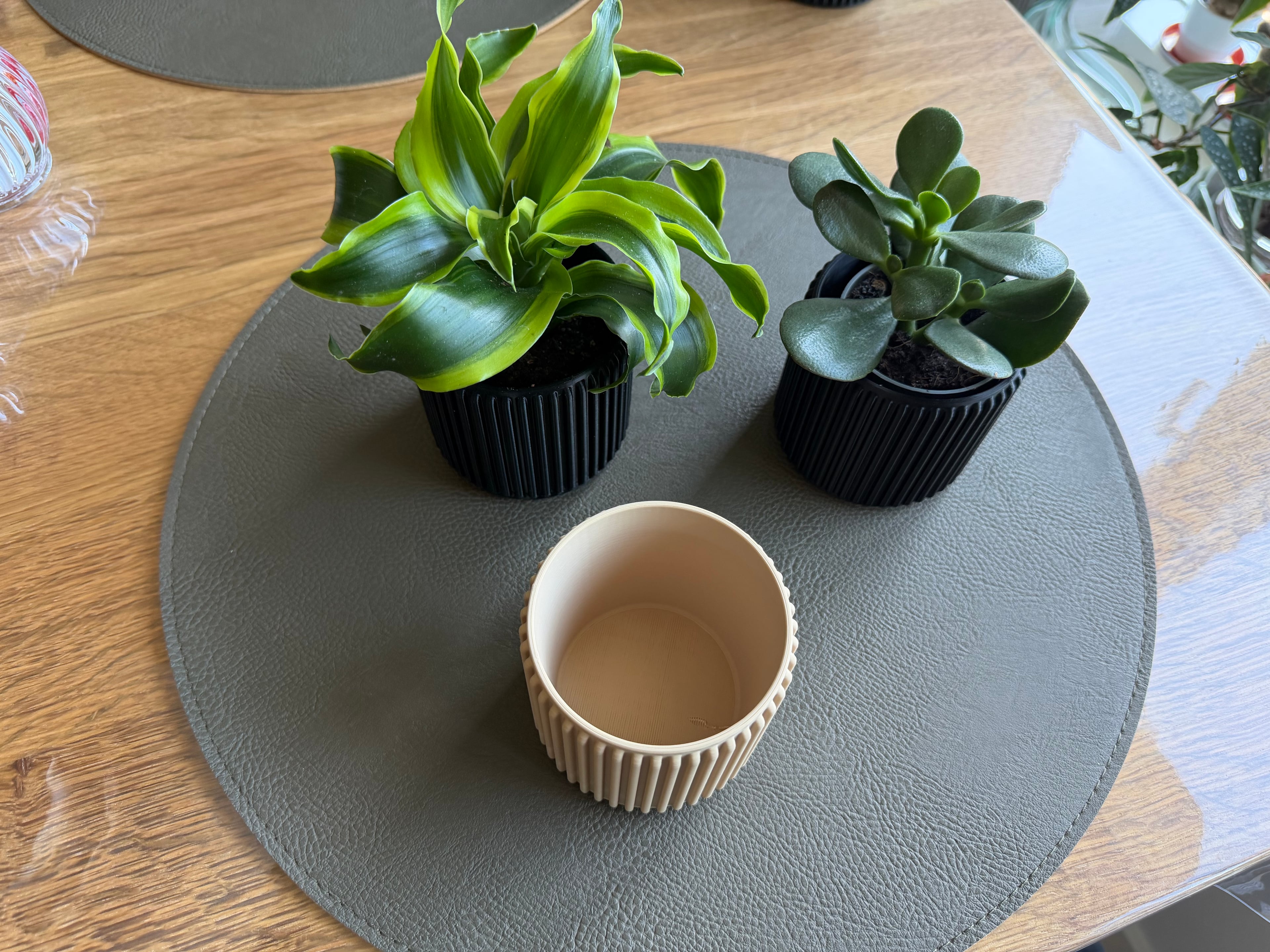 0LBJ_Ribplanter_8cm.stl 3d model