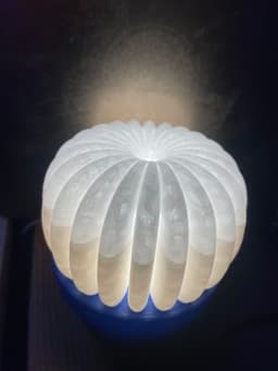 barrel cactus lamp 3d model