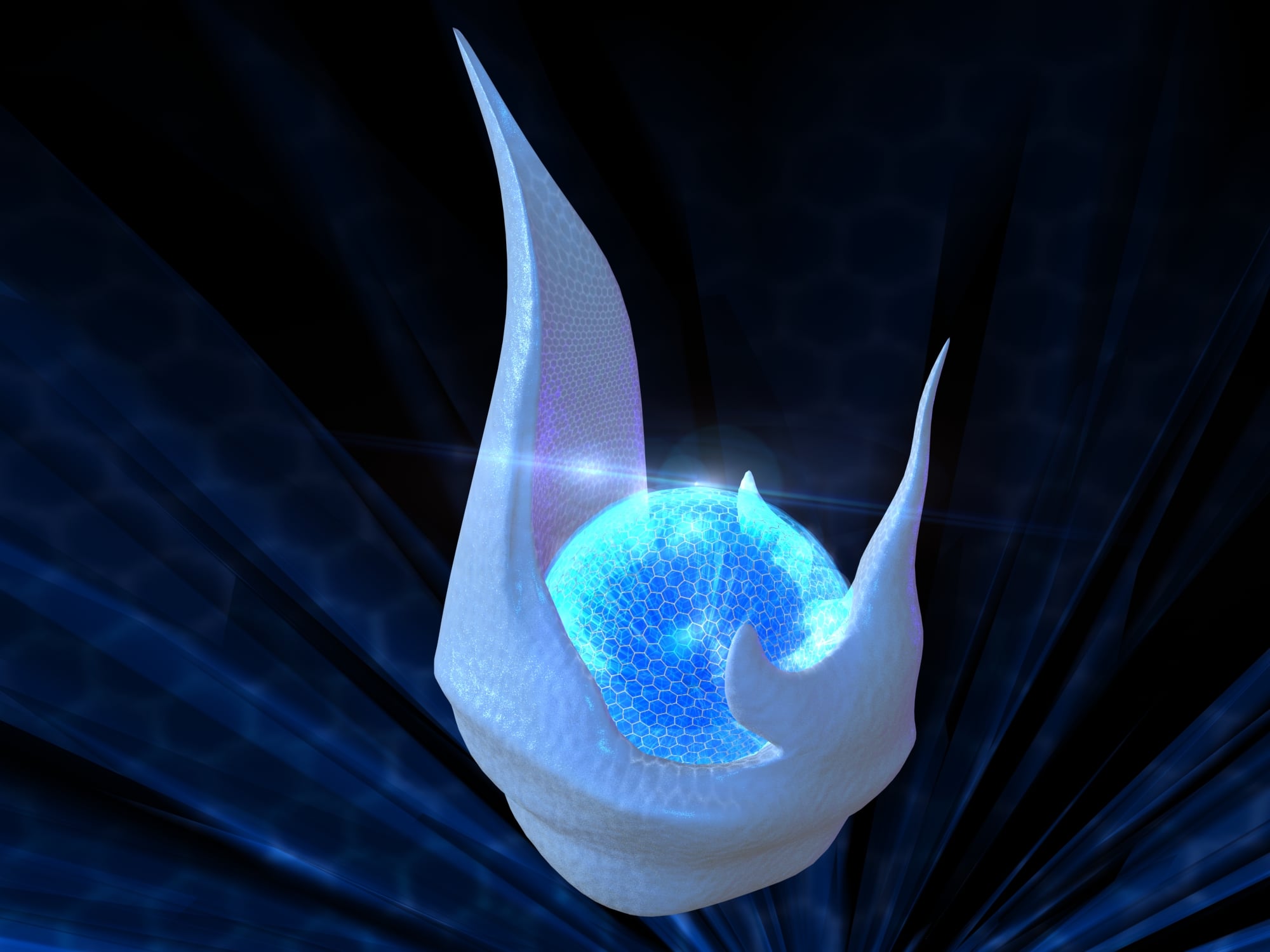 Dragon Tear 3d model