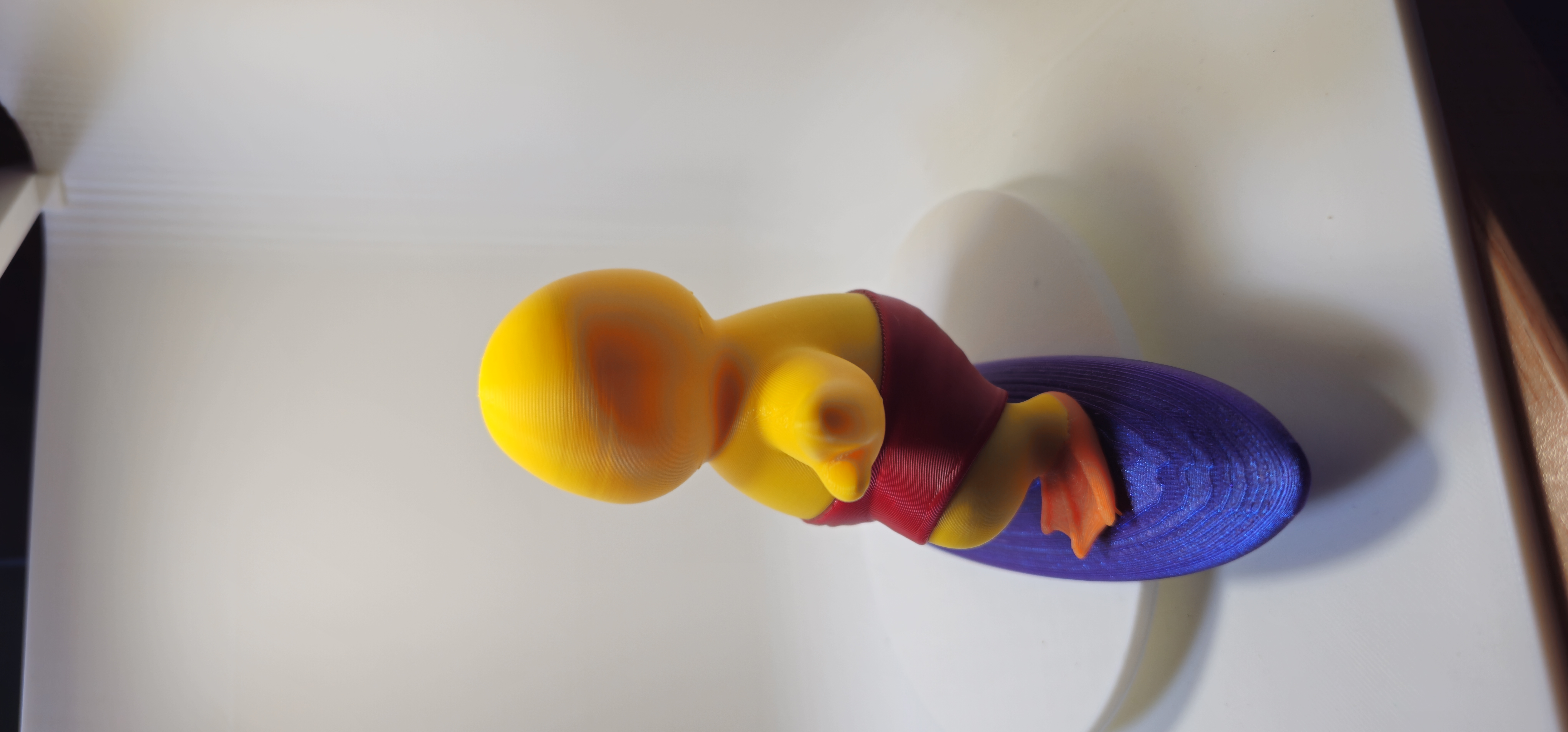 Surfer Duck 3d model