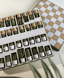 Chessactus, chess set. 3d model
