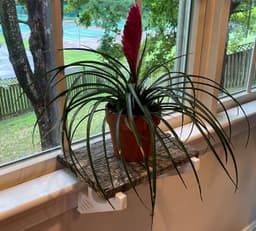 Windowsill Planter Platform Extender Brace (Pella) 3d model