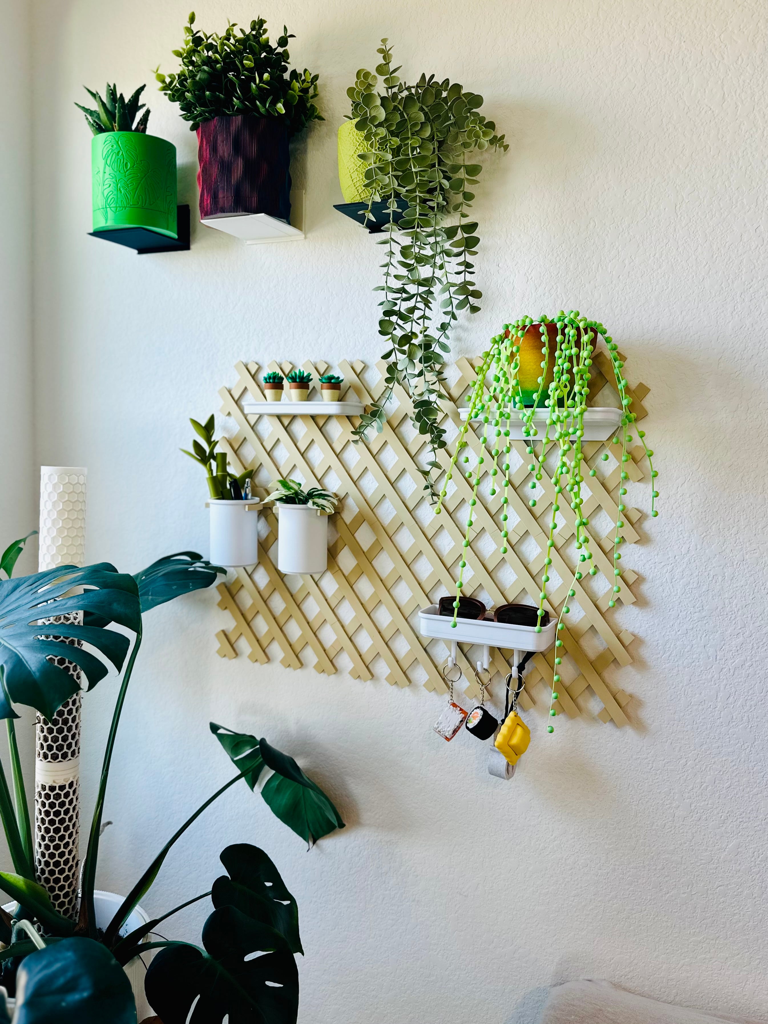 Absolutely adore the Trellis! Everything about it is absolutely fantastic. I will be adding one to my plant wall, and my office! š