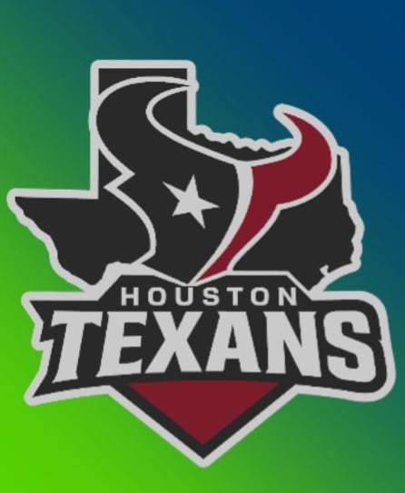 Houston Texans Custom Series 1: Part 9/32 3d model