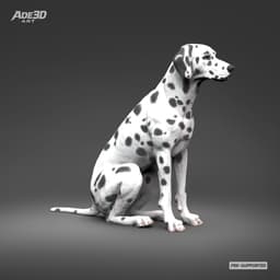 Dalmatian 3D Print Model Pose 03 3d model