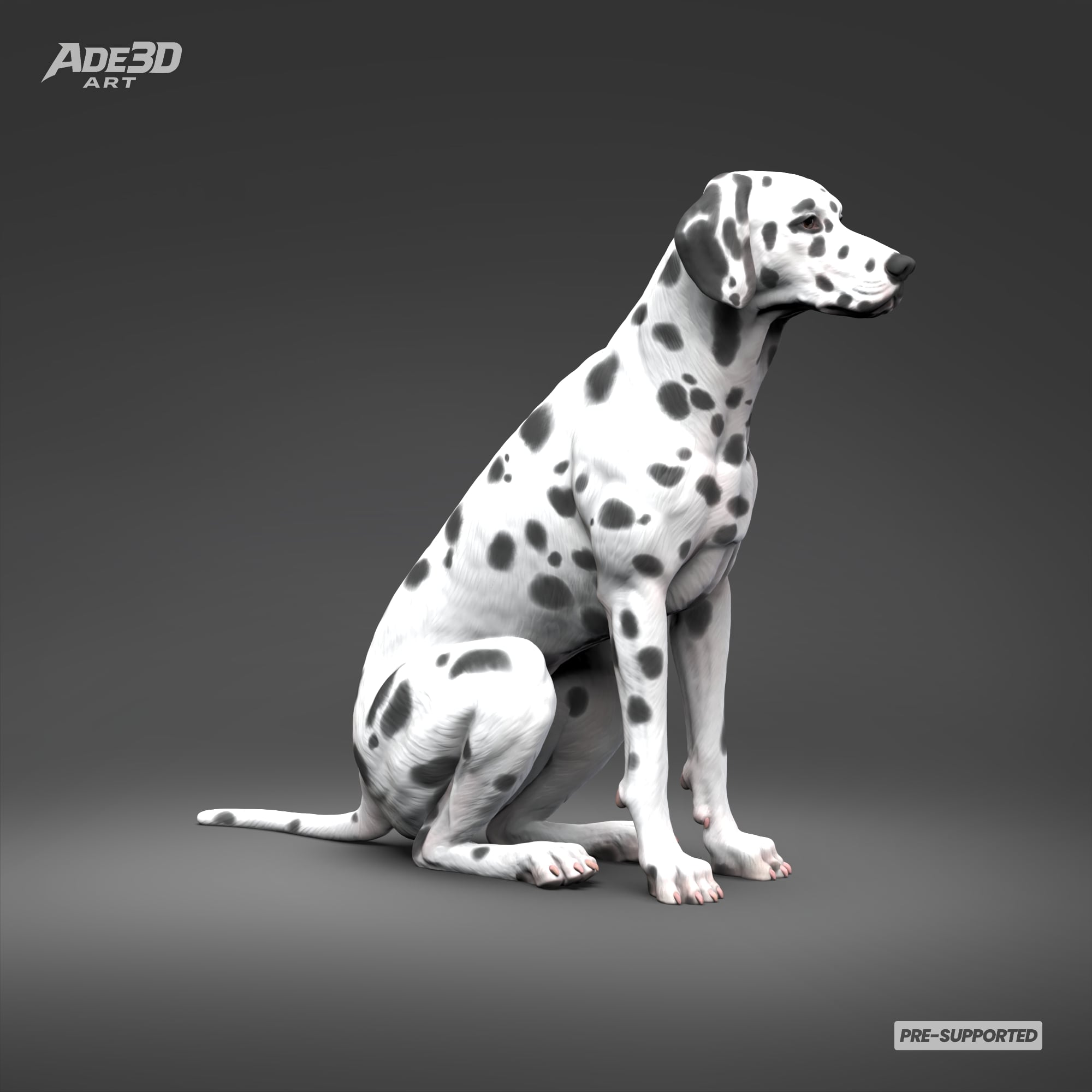 Dalmatian 3D Print Model Pose 03 3d model