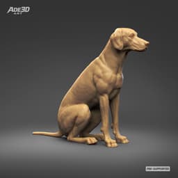 Dalmatian 3D Print Model Pose 03 3d model