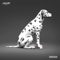 Dalmatian 3D Print Model Pose 03 3d model