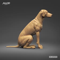 Dalmatian 3D Print Model Pose 03 3d model