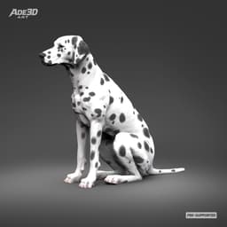 Dalmatian 3D Print Model Pose 03 3d model