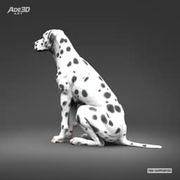 Dalmatian 3D Print Model Pose 03 3d model