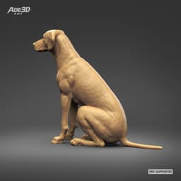 Dalmatian 3D Print Model Pose 03 3d model