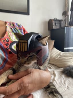 Judge Dredd Cat Helmet Multicolor 3d model