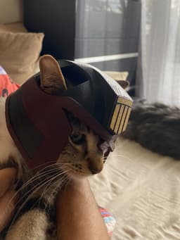 Judge Dredd Cat Helmet Multicolor 3d model