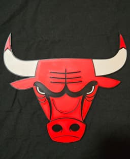Chicago Bulls 3d model